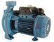 Високопродуктивний насос для дизелю CG-150 220-500 GS_02050 фото 1